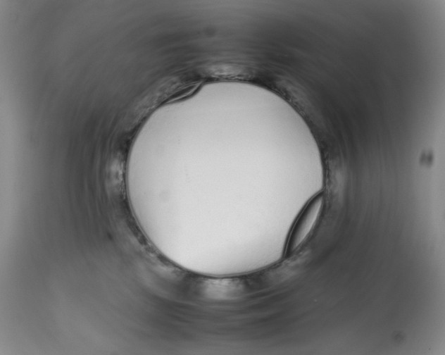 X0000112510281200909141207