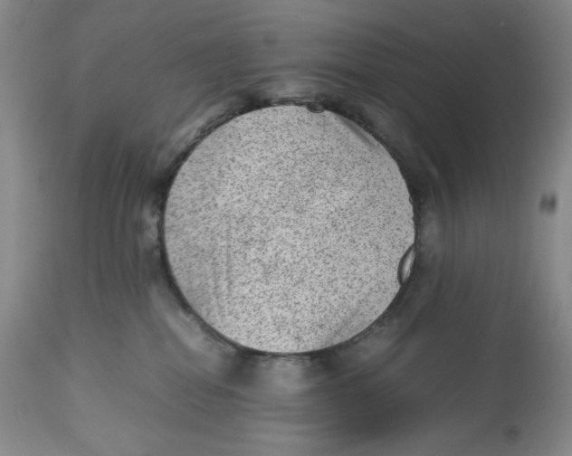 X0000112510282200909141207