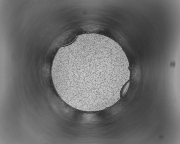 X0000112510283200909141207