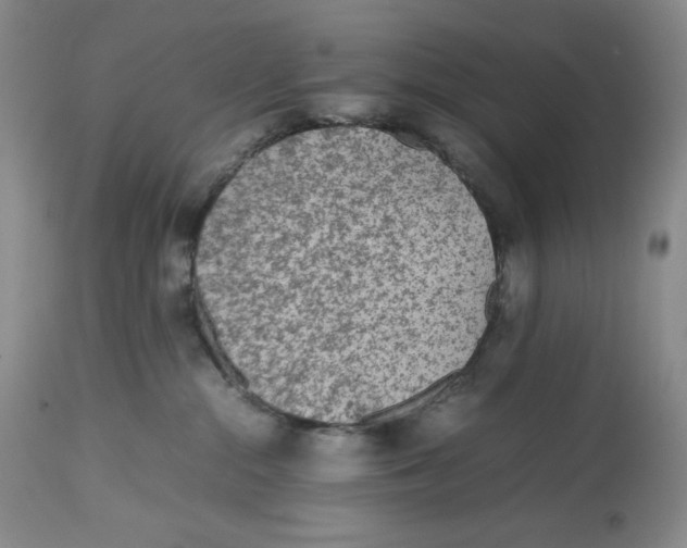 X0000112510284200909141207