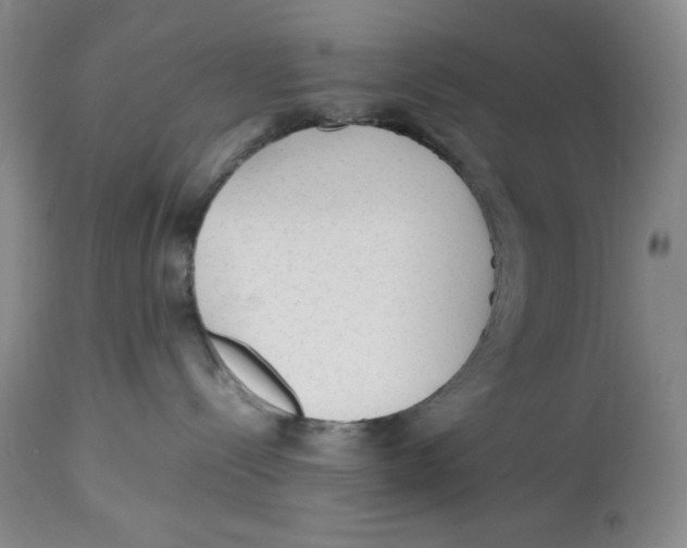 X0000112510288200909141207