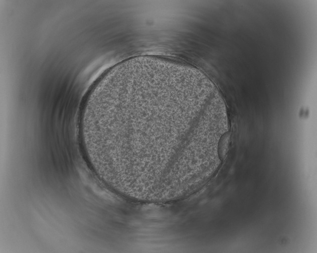 X0000112510290200909141206