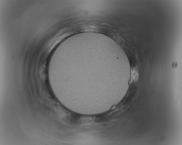 X0000112510291200909141206