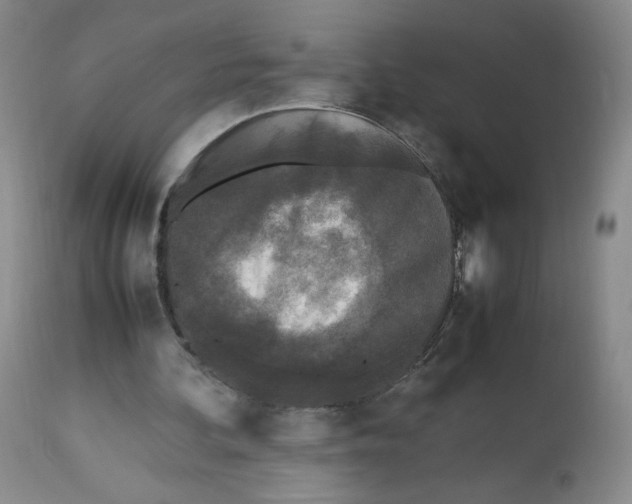 X0000112510292200909141206