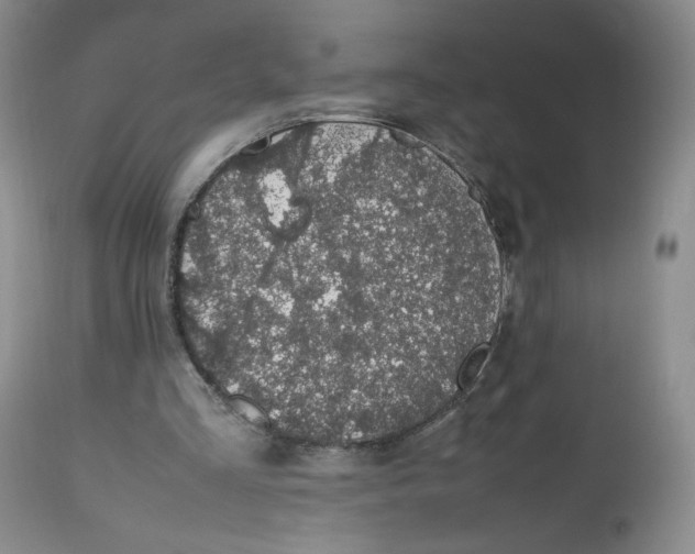 X0000112510293200909141206