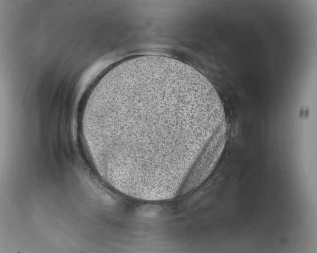 X0000112510294200909141206