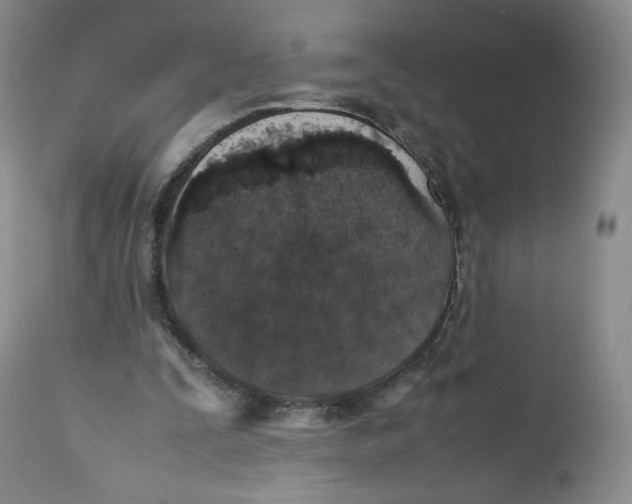 X0000112510295200909141206