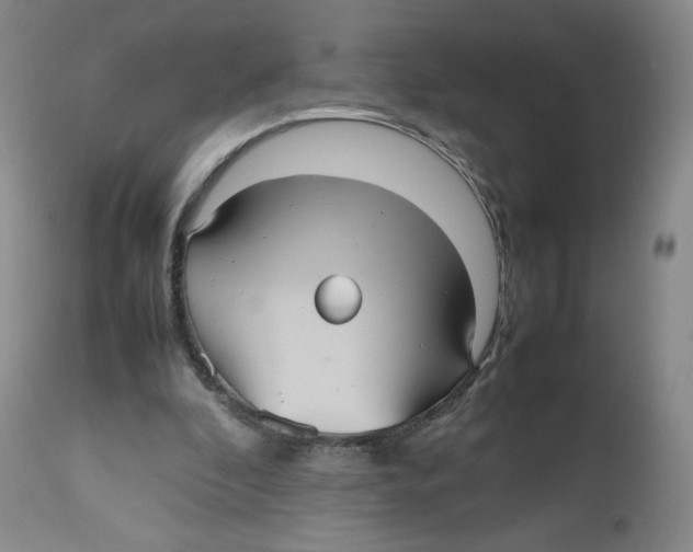 X0000112510296200909141206