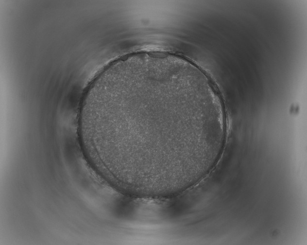 X0000112510297200909141206