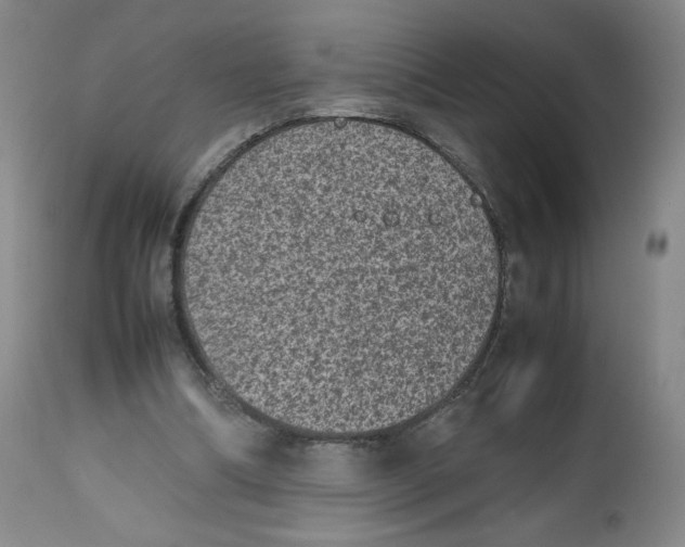 X0000112510298200909141206