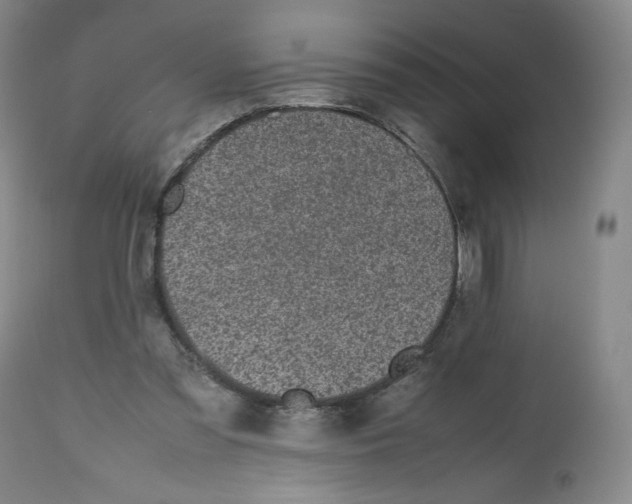 X0000112510301200909141206