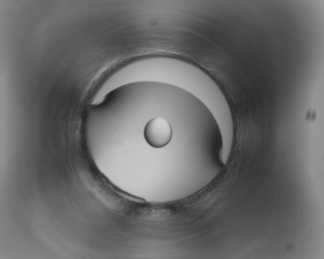 X0000112510304200909141206