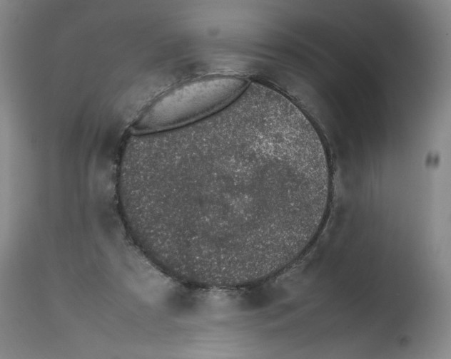 X0000112510305200909141206