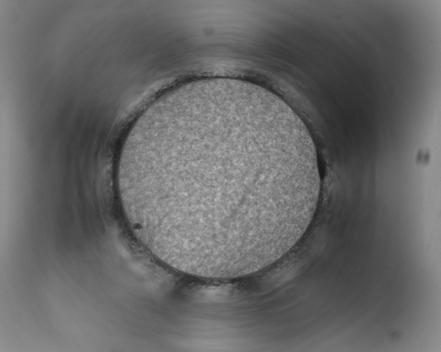 X0000112510306200909141206