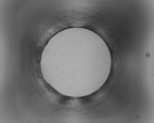 X0000112510307200909141206