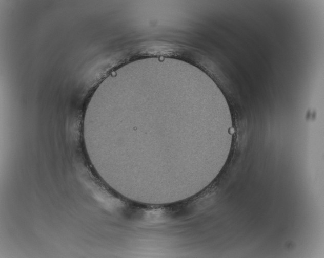 X0000112510309200909141206