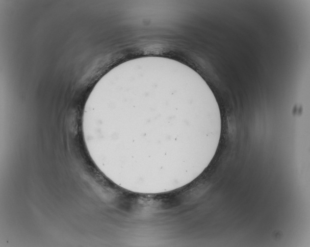 X0000112510311200909141206