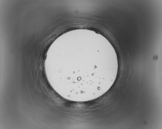 X0000112510313200909141206