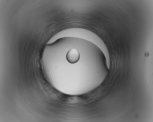 X0000112510316200909141206