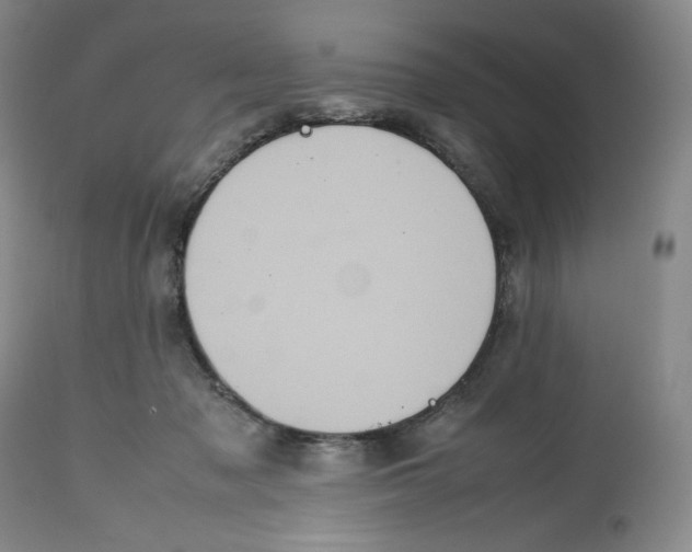 X0000112510317200909141206