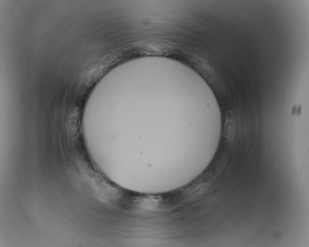 X0000112510318200909141206