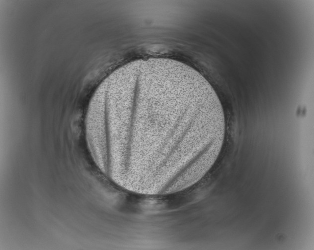 X0000112510319200909141206