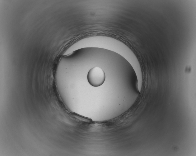 X0000112510320200909141206