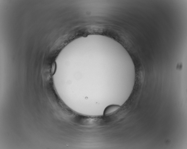 X0000112510323200909141205