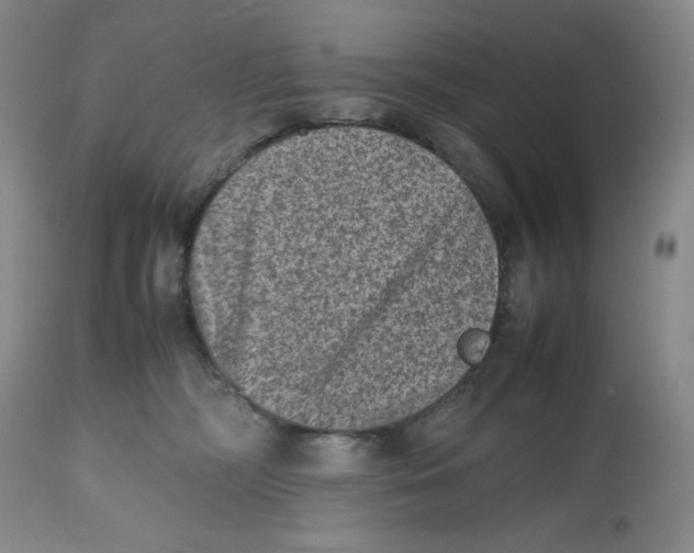 X0000112510326200909141205