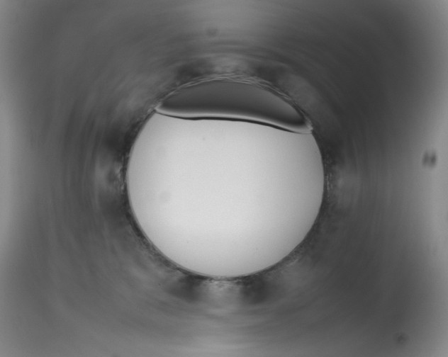 X0000112510327200909141205