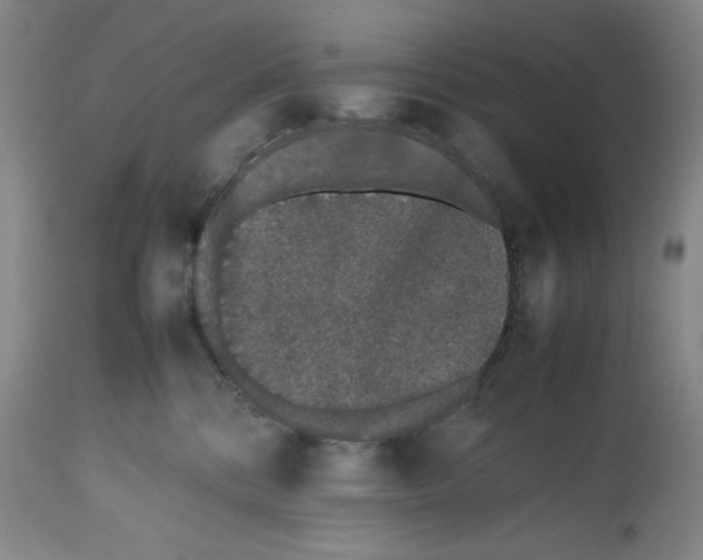 X0000112510328200909141205