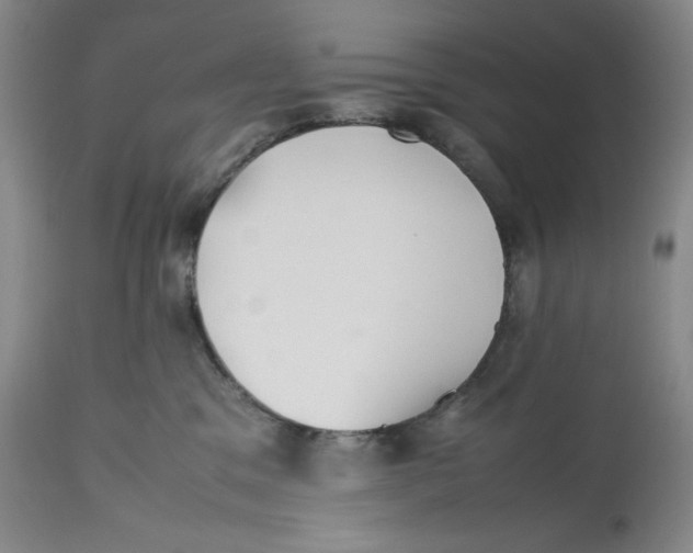 X0000112510329200909141205