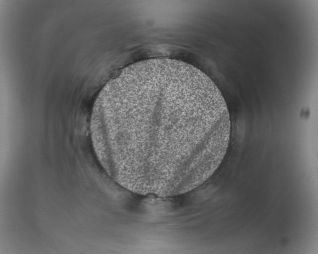 X0000112510331200909141205