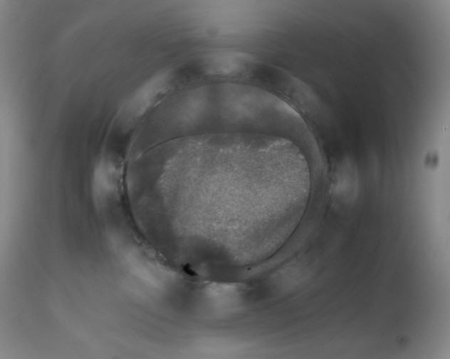 X0000112510332200909141205