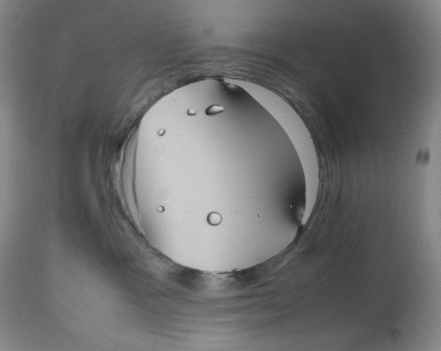 X0000112510333200909141205