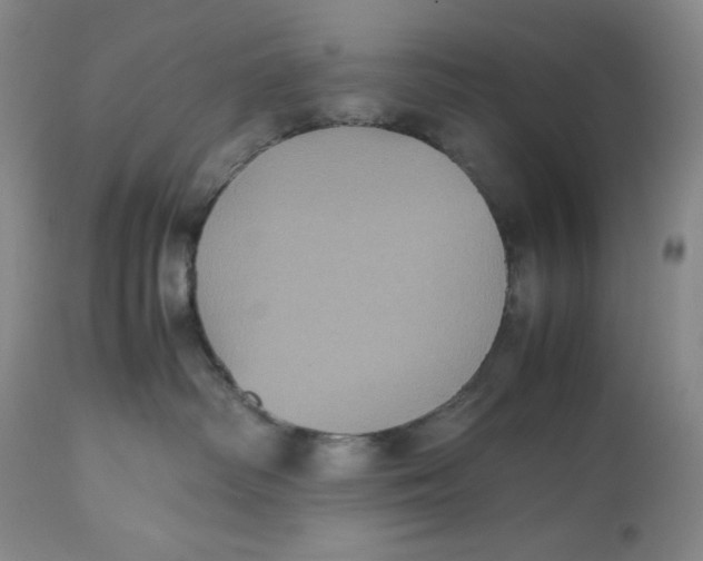 X0000112510334200909141205