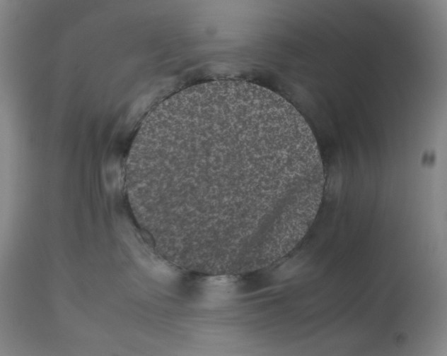 X0000112510335200909141205