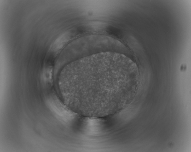 X0000112510336200909141205