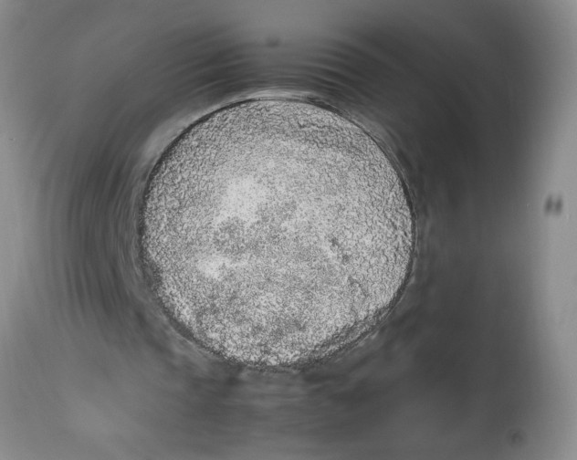 X0000112510337200909141204