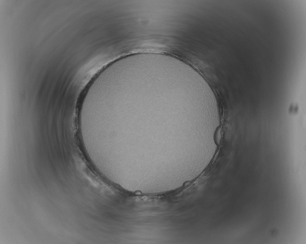 X0000112510338200909141204