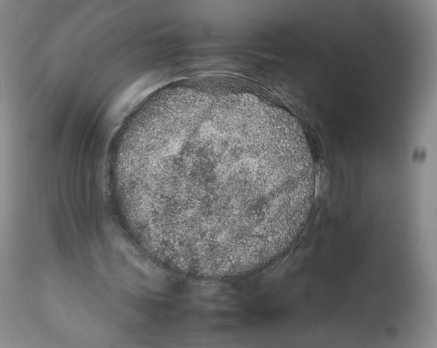 X0000112510339200909141205