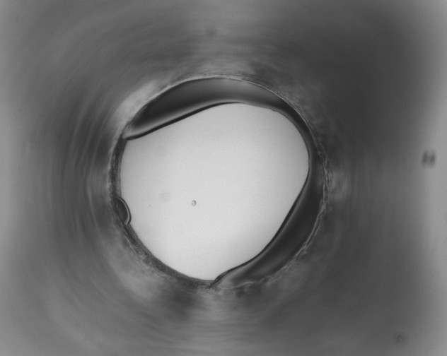 X0000112510340200909141205