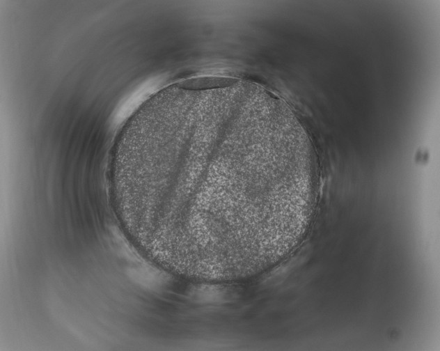 X0000112510341200909141205