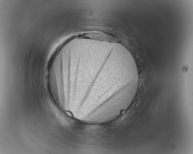 X0000112510342200909141205