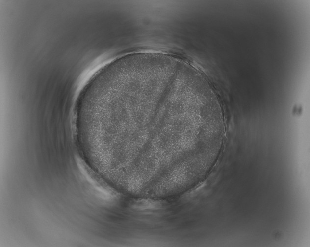 X0000112510343200909141205