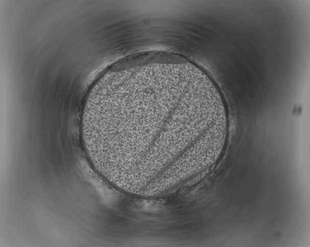 X0000112510345200909141205