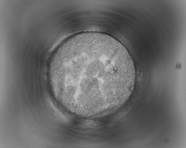 X0000112510347200909141205