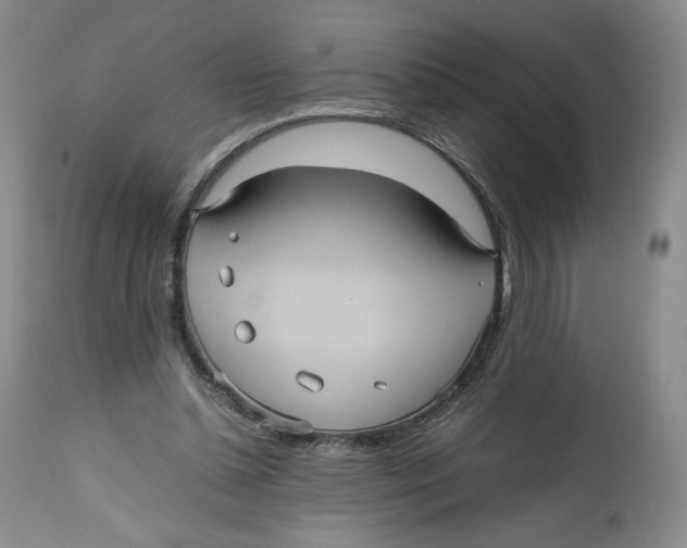 X0000112510348200909141205