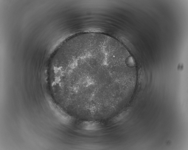 X0000112510351200909141205