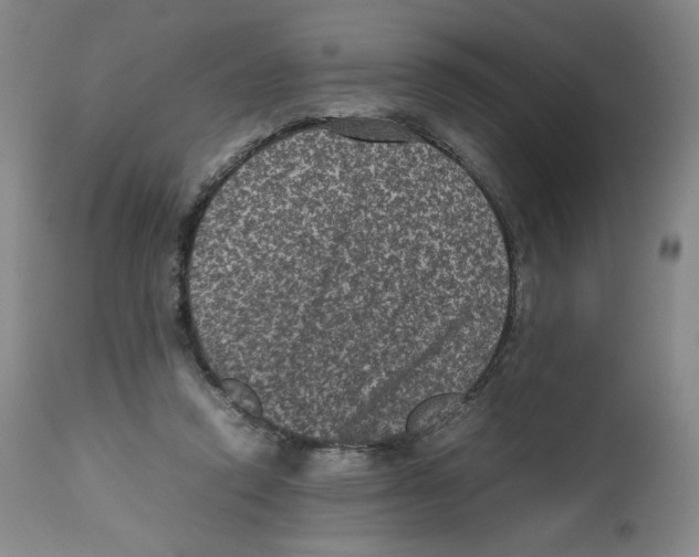 X0000112510354200909141205